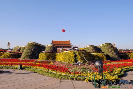 찲TV(chng)[Ź̽Y(ji) }_ʢ