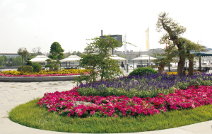 G^´⣬򞳹@ɣɞeĺȥ̎