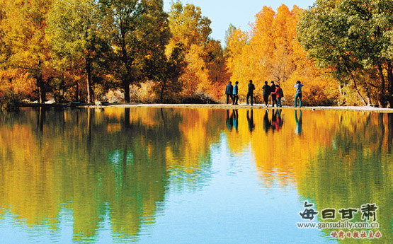 ChɳĮɭֹ@οͺ͔zӰۺ