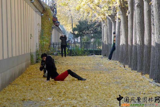 [MD]~_(ti)(gu)e^yֳɞTc(din)