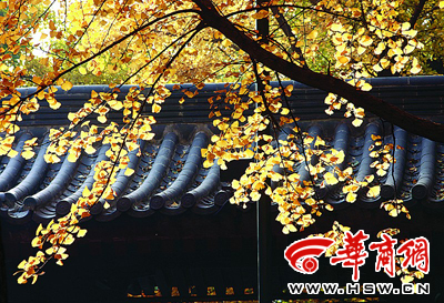 y~L(fng) ݷQĿǰвͨ