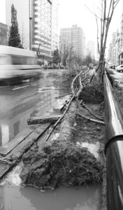 磬кƽ^(q)ƽcž·̎Ę䱻LS˔[·߅