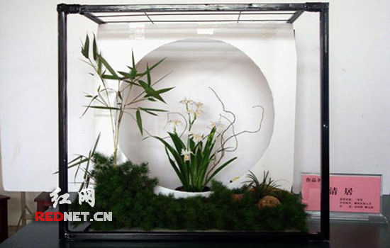 湖南 插花 大學(xué)生