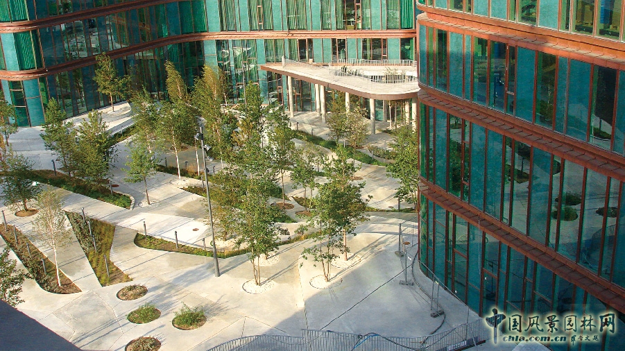 風(fēng)景園林 屋頂綠化 城市規(guī)劃