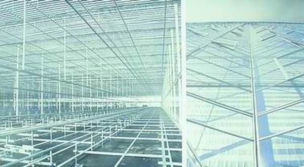 荷蘭 花企 節(jié)能