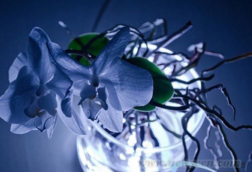 AuraLamp燈具 花瓶與燈具 燈具設(shè)計 中國風(fēng)景園林網(wǎng)