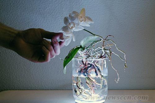 AuraLamp燈具 花瓶與燈具 燈具設(shè)計 中國風(fēng)景園林網(wǎng)