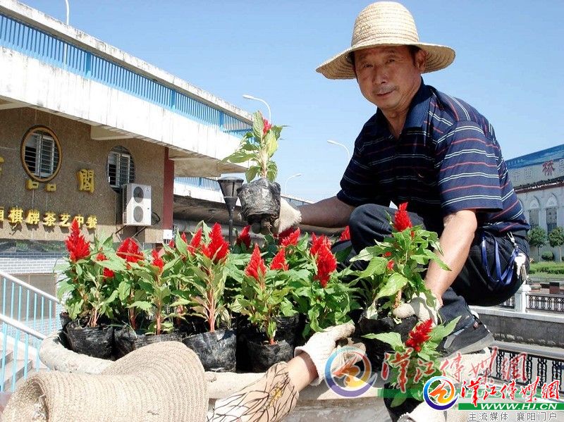 湖北 鮮花 道路