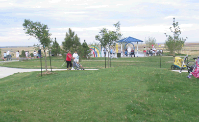 中國風景園林網 規劃設計