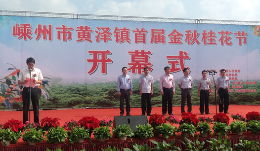 嵊州 黃澤 桂花