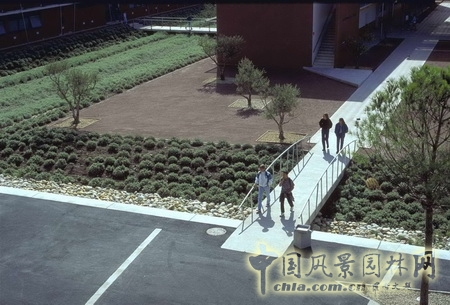 聯(lián)系各建筑平臺(tái)之間的小橋