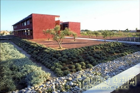 通往休息區(qū)的小橋