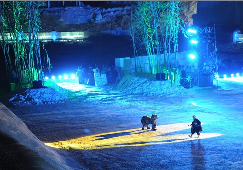 哈爾濱國際冰雪節(jié) 峨眉山冰雪溫泉節(jié)