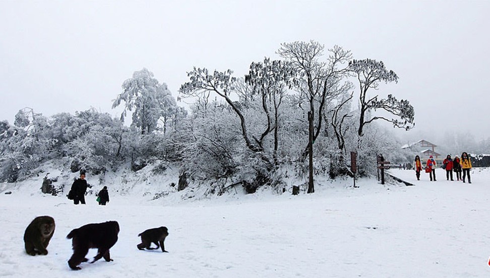 哈爾濱國際冰雪節 峨眉山冰雪溫泉節