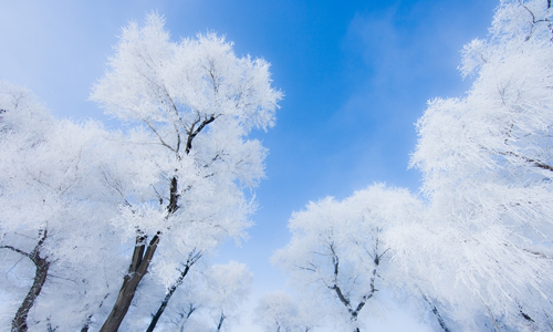 哈爾濱國(guó)際冰雪節(jié) 峨眉山冰雪溫泉節(jié)