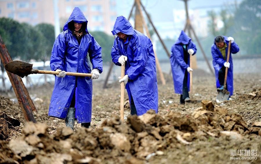 生態(tài) 環(huán)境 城市之肺 園林綠化 中國風(fēng)景園林網(wǎng)