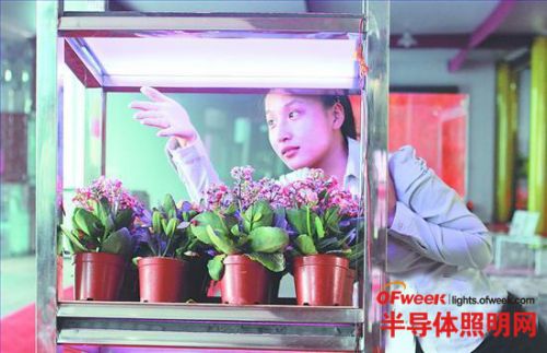 轉(zhuǎn)光玻璃