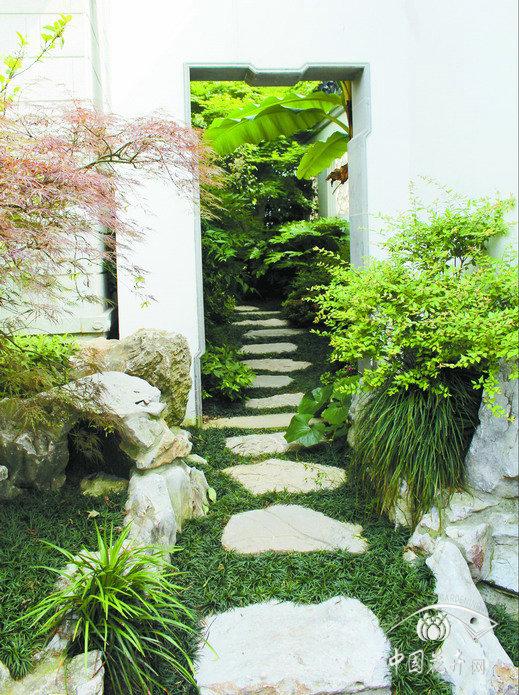 不規(guī)則式整石汀步與玉龍草銜接自然