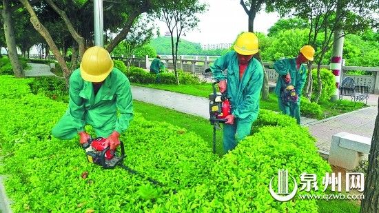 安溪縣市政公用事業管理局園林修剪組