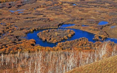 濕地 最美濕地 十大濕地 濕地景觀