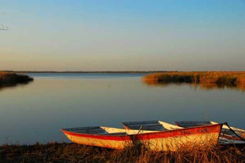 濕地 最美濕地 十大濕地 濕地景觀