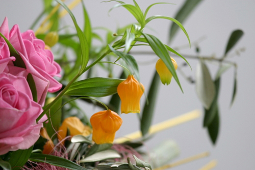 宮燈百合 花卉 百合