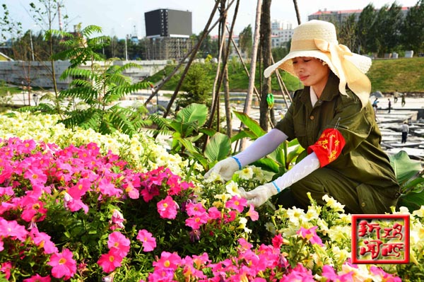 黑龍江雞西市園林處