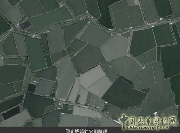 緬甸 仰光 人民公園 景觀設計 何小強 中國風景園林網