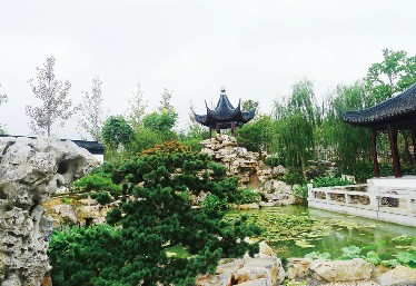 青島世園會 山地園林 青島世園 園林藝術