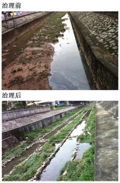 河道生態(tài)治理