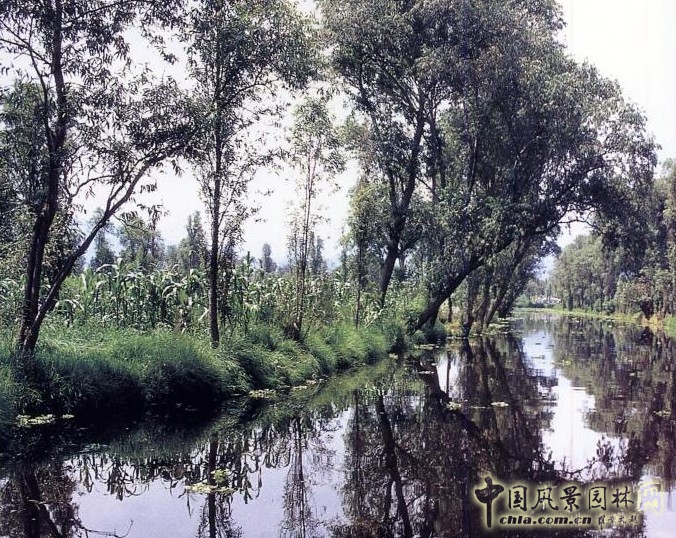 霍奇米爾科 生態公園