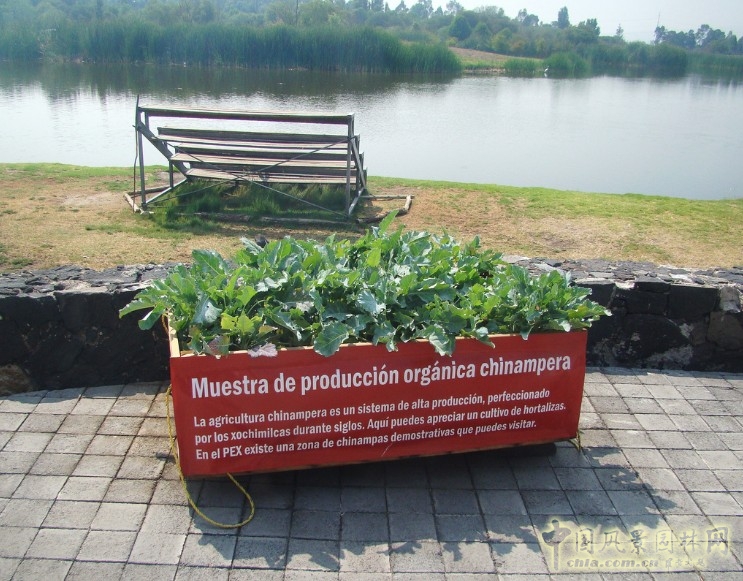 霍奇米爾科 生態公園