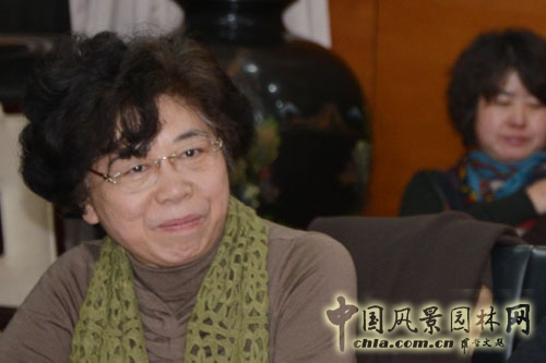 住建部城建司巡視員陳蓁蓁