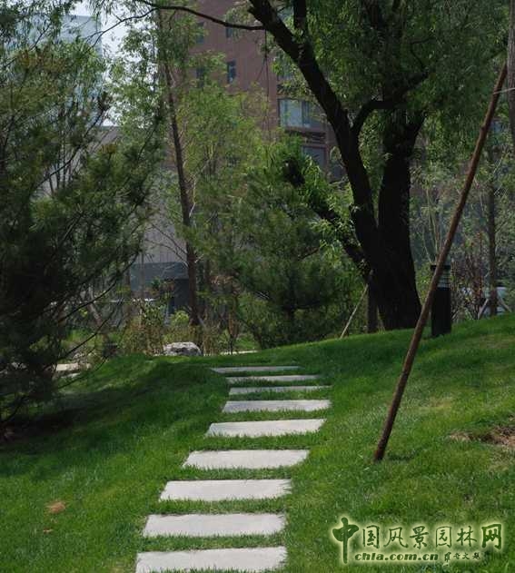 建筑周邊種植速生大喬木遮蔽高樓，減少壓迫感。