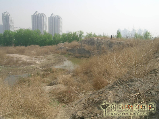 北京北小河公園