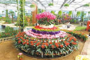 “鮮花蛋糕”喜氣洋洋。記者郄磊攝