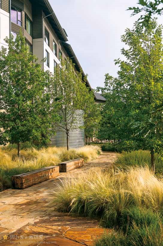 美國德勤大學(xué)校園景觀