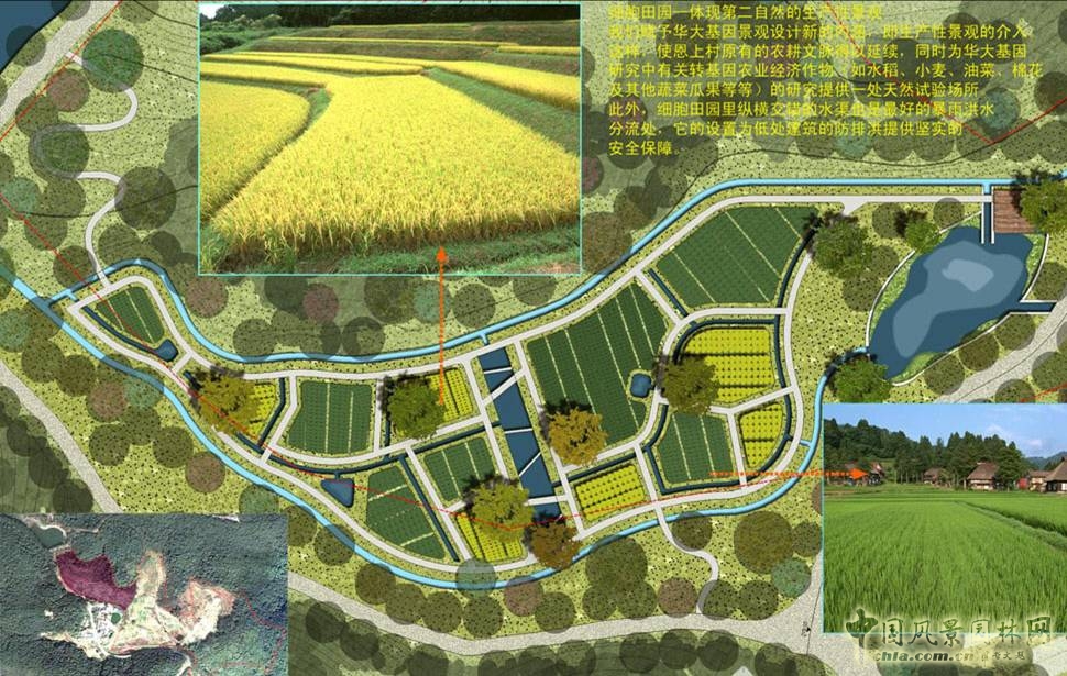 萬科 華大基因 景觀設計 何小強 中國風景園林網