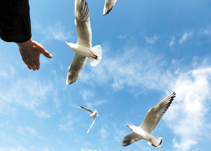 濕地公園 滇池旅游度假區 河道景觀