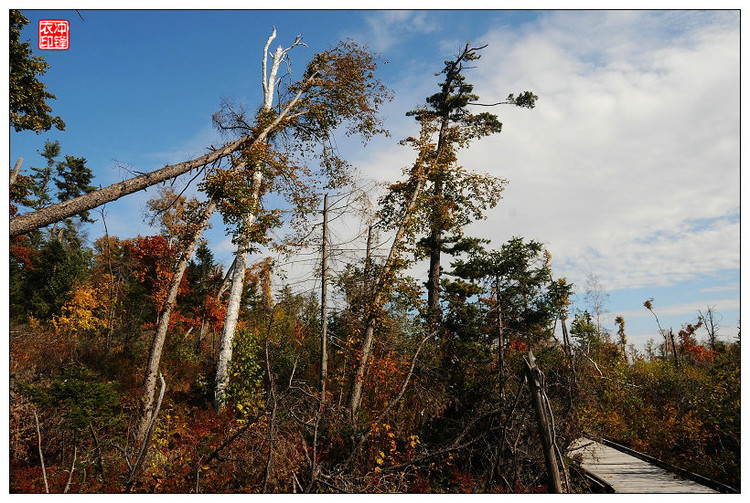 湯望河國家公園 花崗巖石林 地質公園