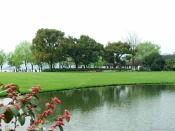 美麗中國 市政園林 生態修復 生態文明