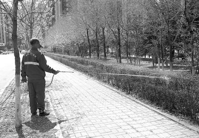 公園綠化 景觀園林