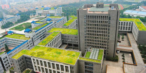 戶外廣告設置 公共建筑 立體綠化 西安