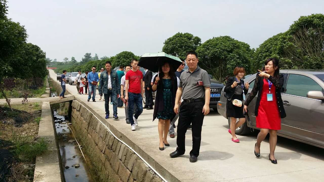 園林工程 園林綠化