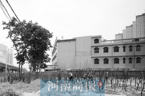 生態廊道已經修到了博物館跟前