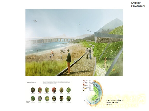 陳弘志:香港風景園林教育的新發展