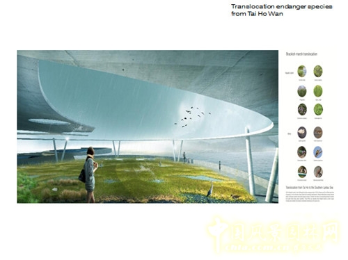 陳弘志:香港風景園林教育的新發展