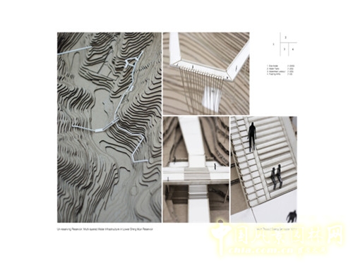 陳弘志:香港風(fēng)景園林教育的新發(fā)展