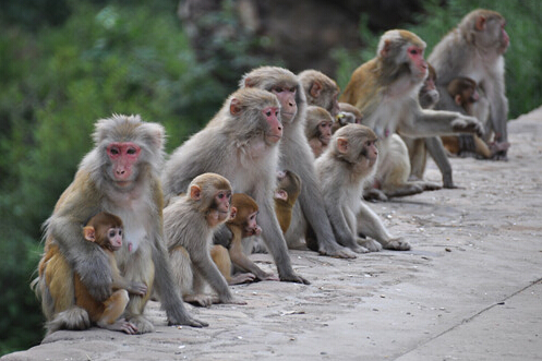垣曲黃河?歷山風景區