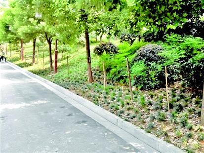 武漢黃鶴樓景觀帶用鐵絲網隔離